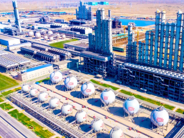 新疆東方希望新能源有限公司