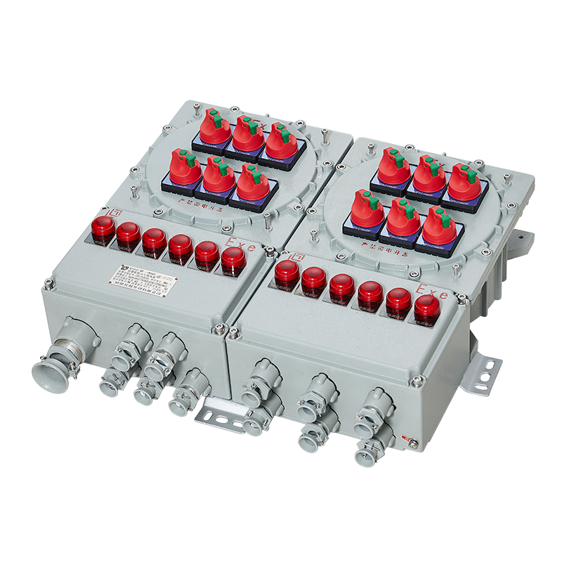 BXM(D)62系列 防爆照明（動力）配電箱（ⅡB、ⅡC、ⅢC）